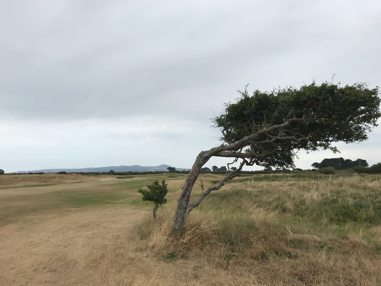 Week 1: I-SEM and the Wind factor